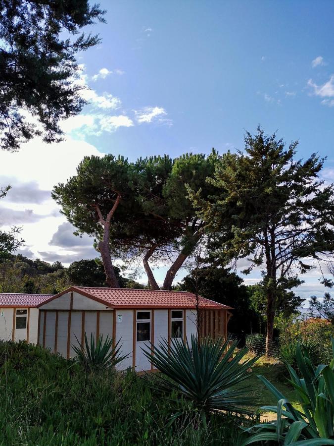 Camping Tikiti Propriano  Exterior foto